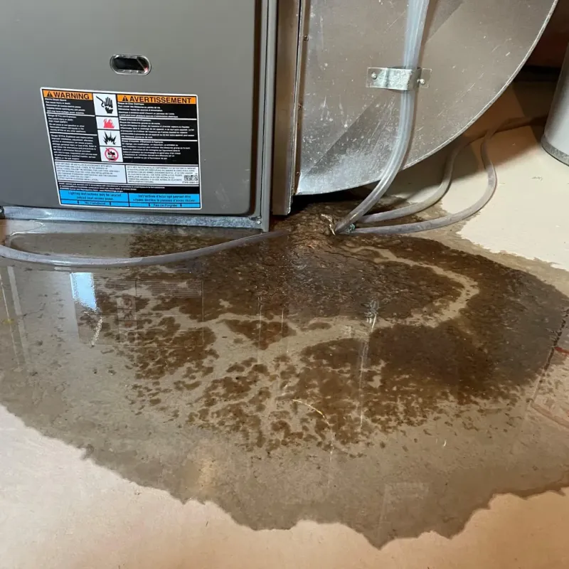 Appliance Leak Cleanup in Glen Head, NY